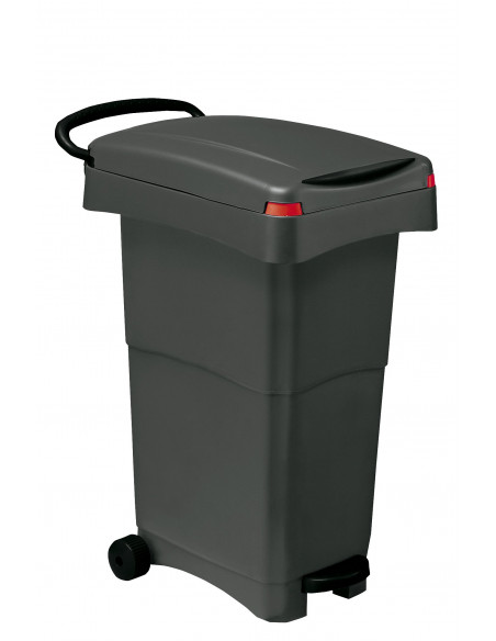 Bidone porta rifiuti 80 litri con pedale e ruote per raccolta differenziata - Modello Nello